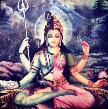 Another take: Ardhanarishvara, Androgynous Hindu Deity